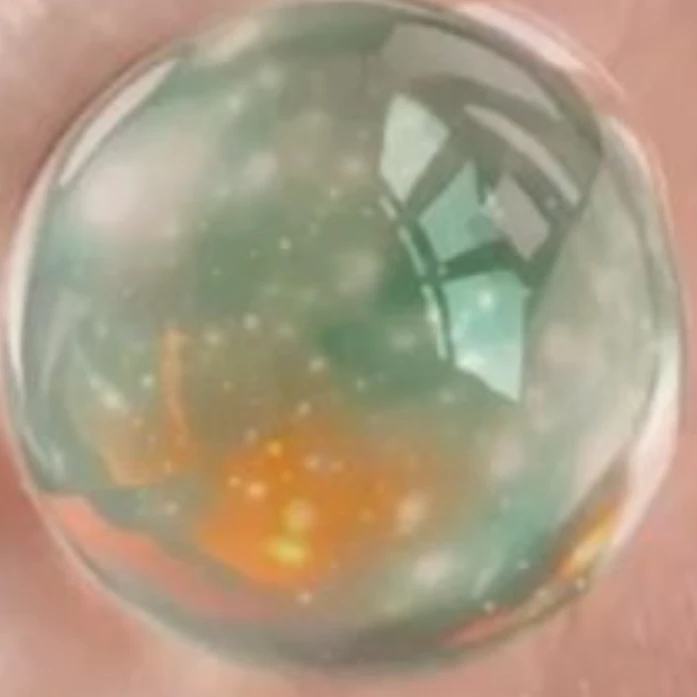 四季