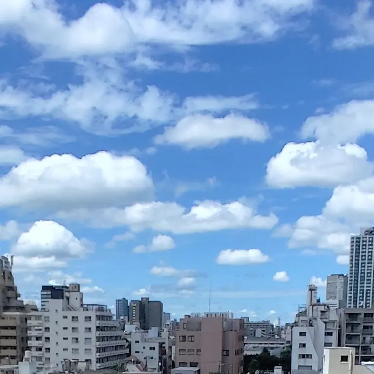 yu0818의 探偵はBARにいる