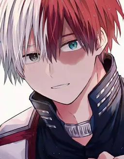 Profile image of Todoroki