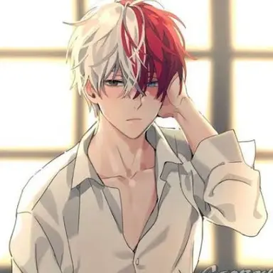 Profile image of Todoroki