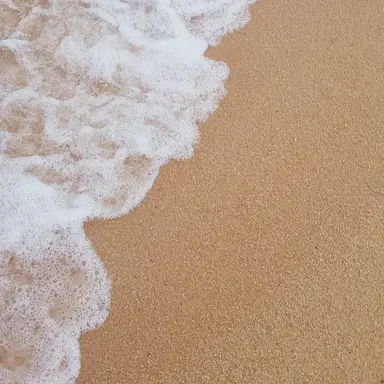 Profile image of 키오프