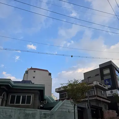 Profile image of 멤버들과 여행