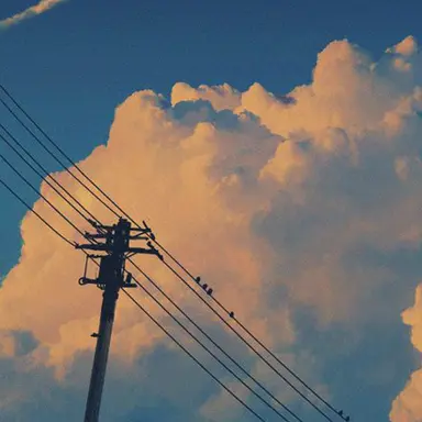 Profile image of 루이