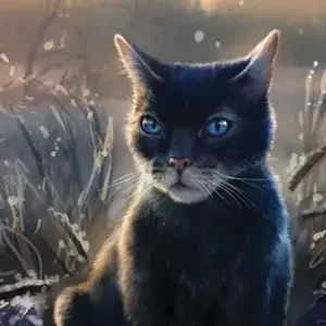 playing_fox의 전사들 크로페더