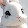 Profile image of 미미