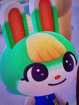 Profile image of 미첼