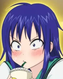 Profile image of Kokomi