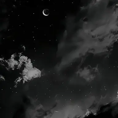 Profile image of 李灿