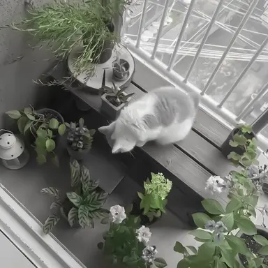 Profile image of 핑퐁볼