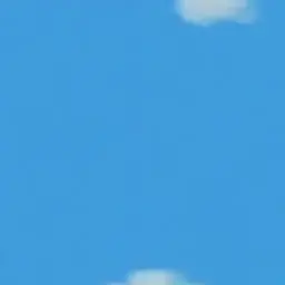 Profile image of 김지훈