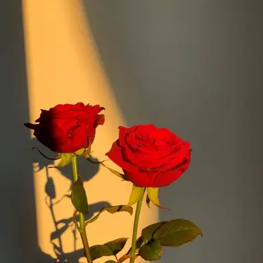 Profile image of 이혁