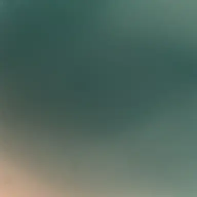 Profile image of 최범규