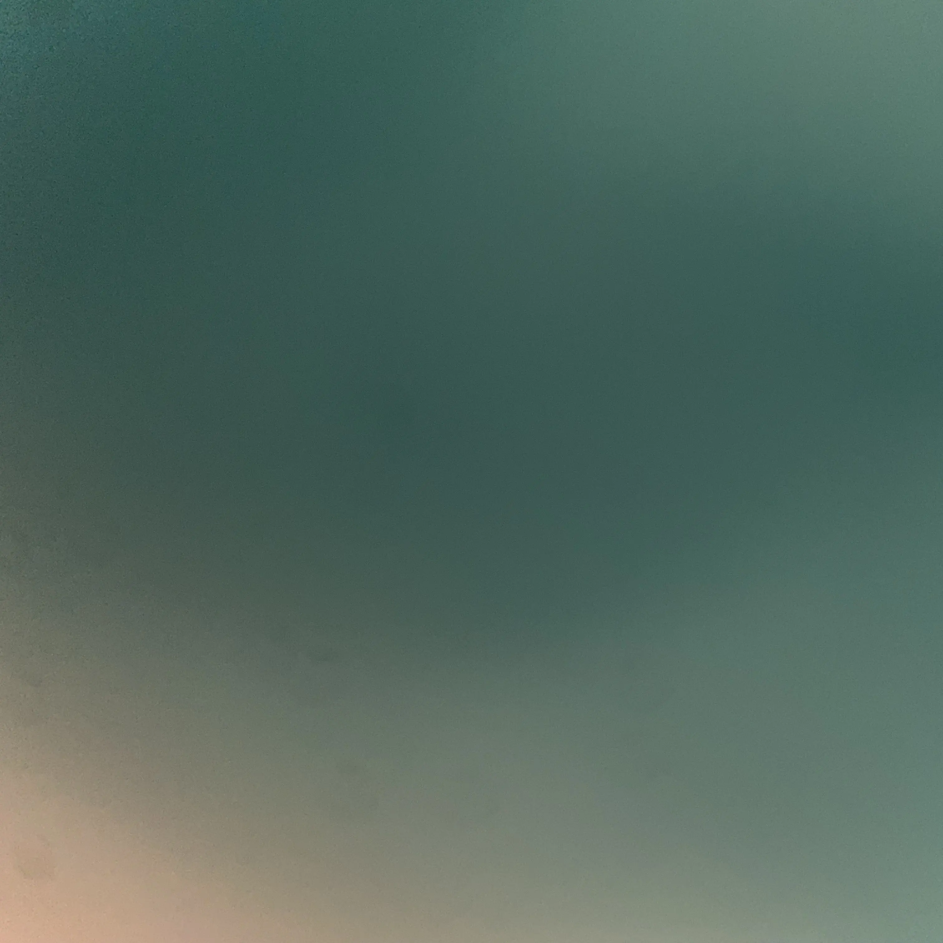 DourOlive1559의 최범규