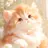 복숭이