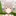 フェリス
