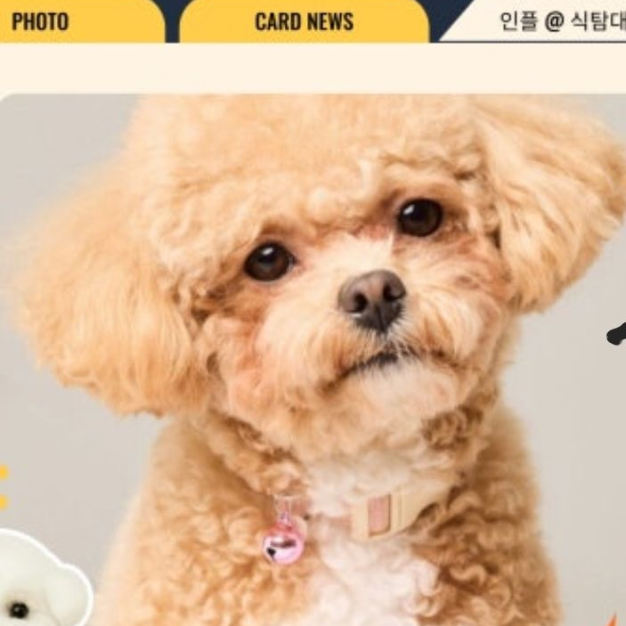 원샷한솔 대표 이미지