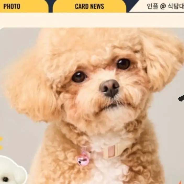 CandidSpit7945의 원샷한솔
