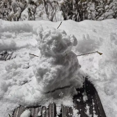 Profile image of 여행