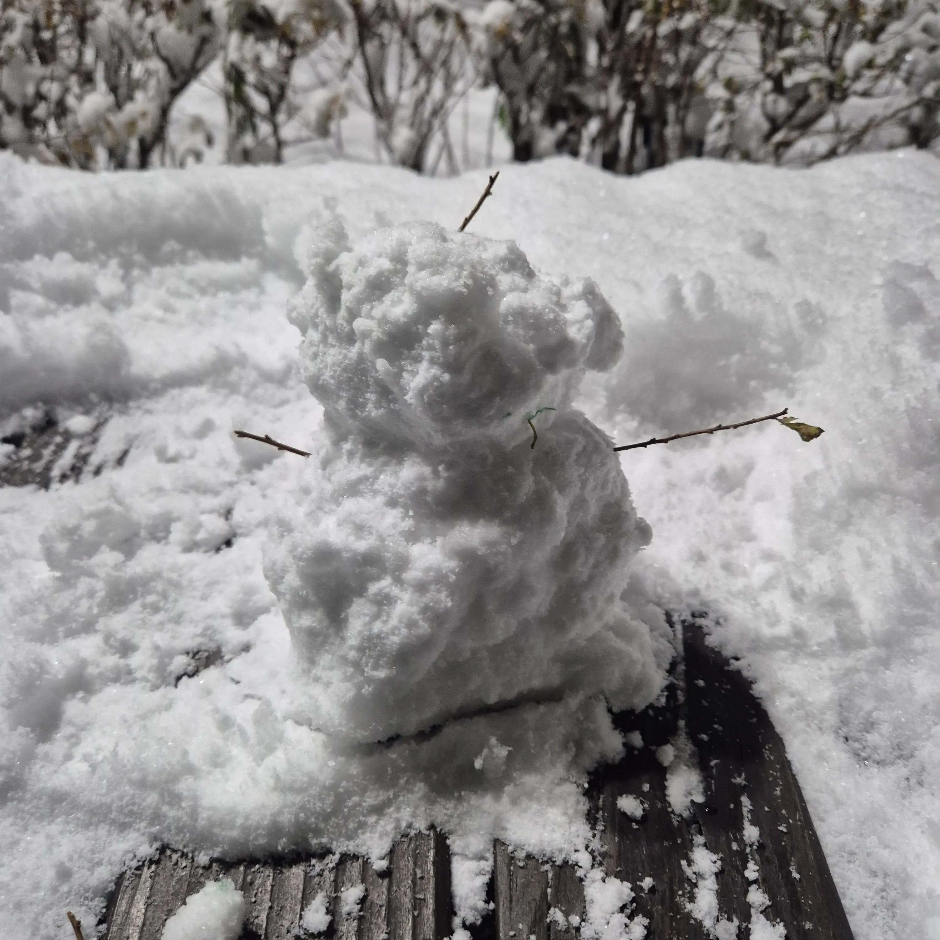 HappyBlade4786의 여행