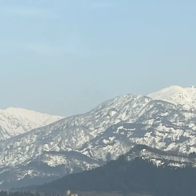 LongOx5493의 IVE レイ