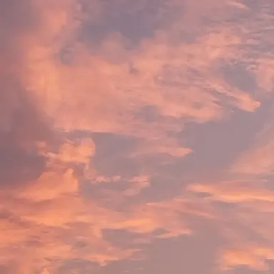 Profile image of 낙원