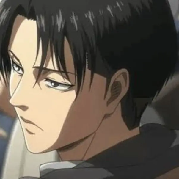 MatteBooby2598의 리바이의 속마음.。o○