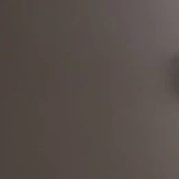 황선진