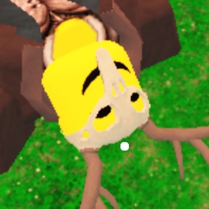 신도