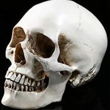 Profile image of 데드 오버