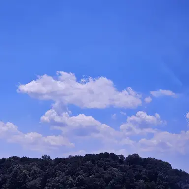 Profile image of 마음대로