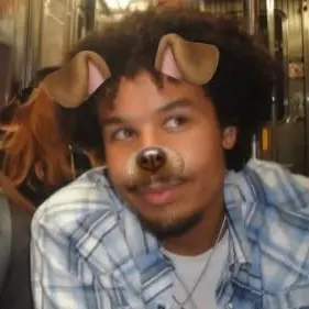 Profile image of Will