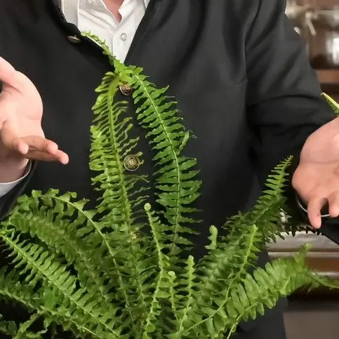 ShortPlain6860의 自分用。