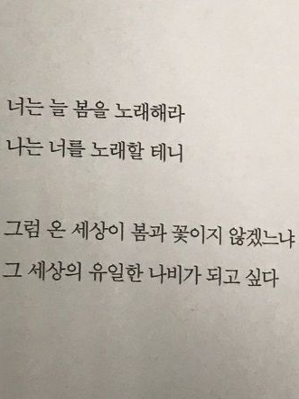 🌿 대표 이미지