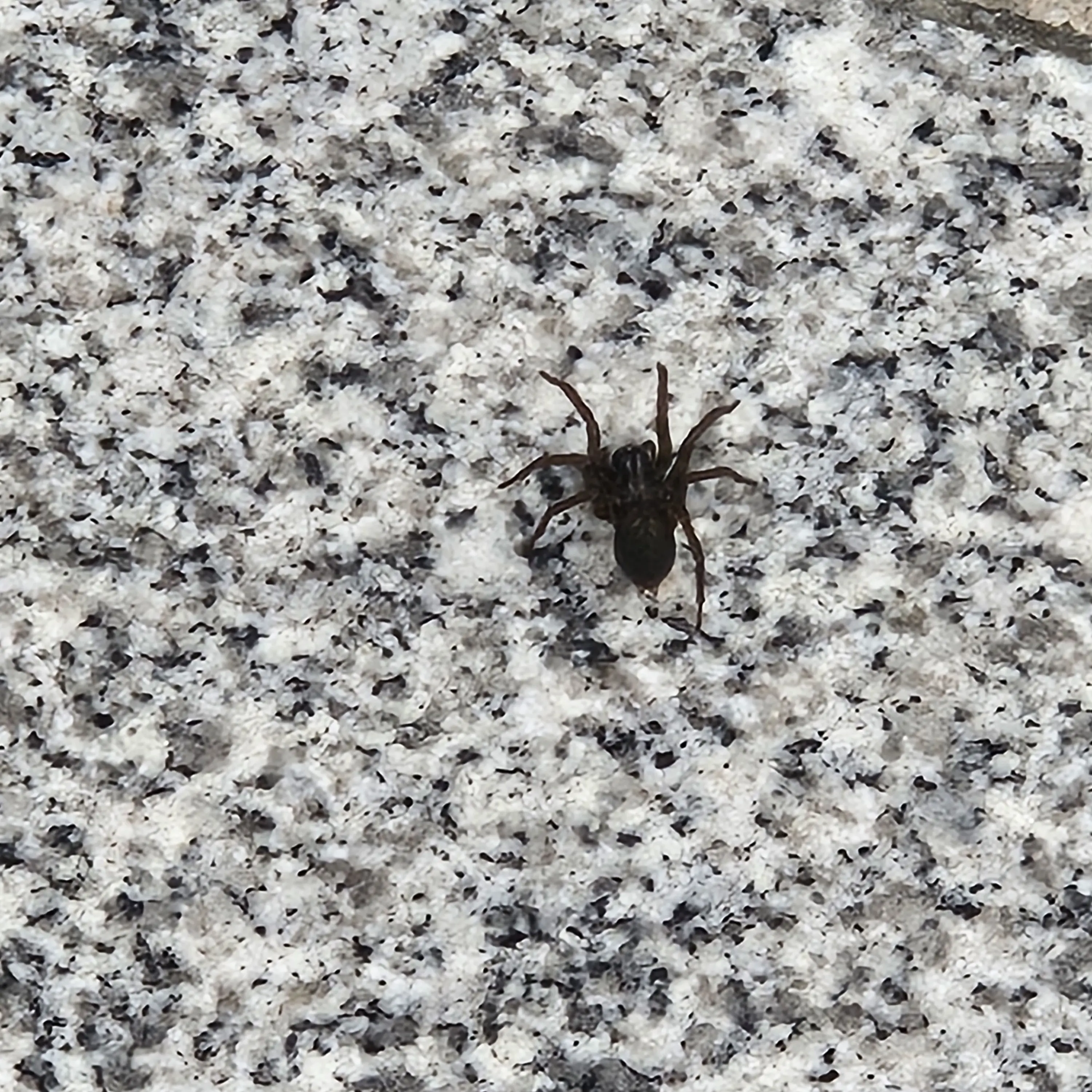 SolemnRival2682의 ..