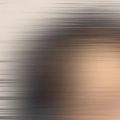 Profile image of 김애리