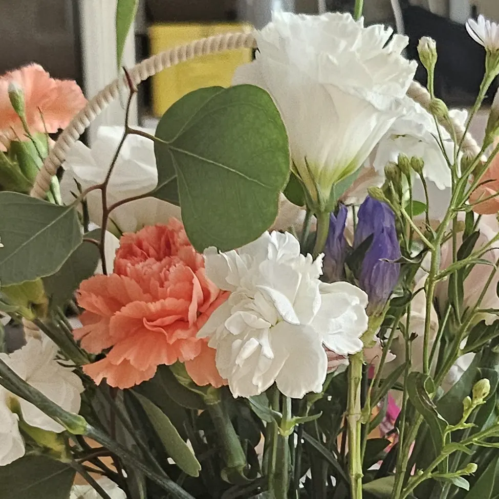 ShinyMud7697의 사일런트솔트 ❤️ 세인트릴리