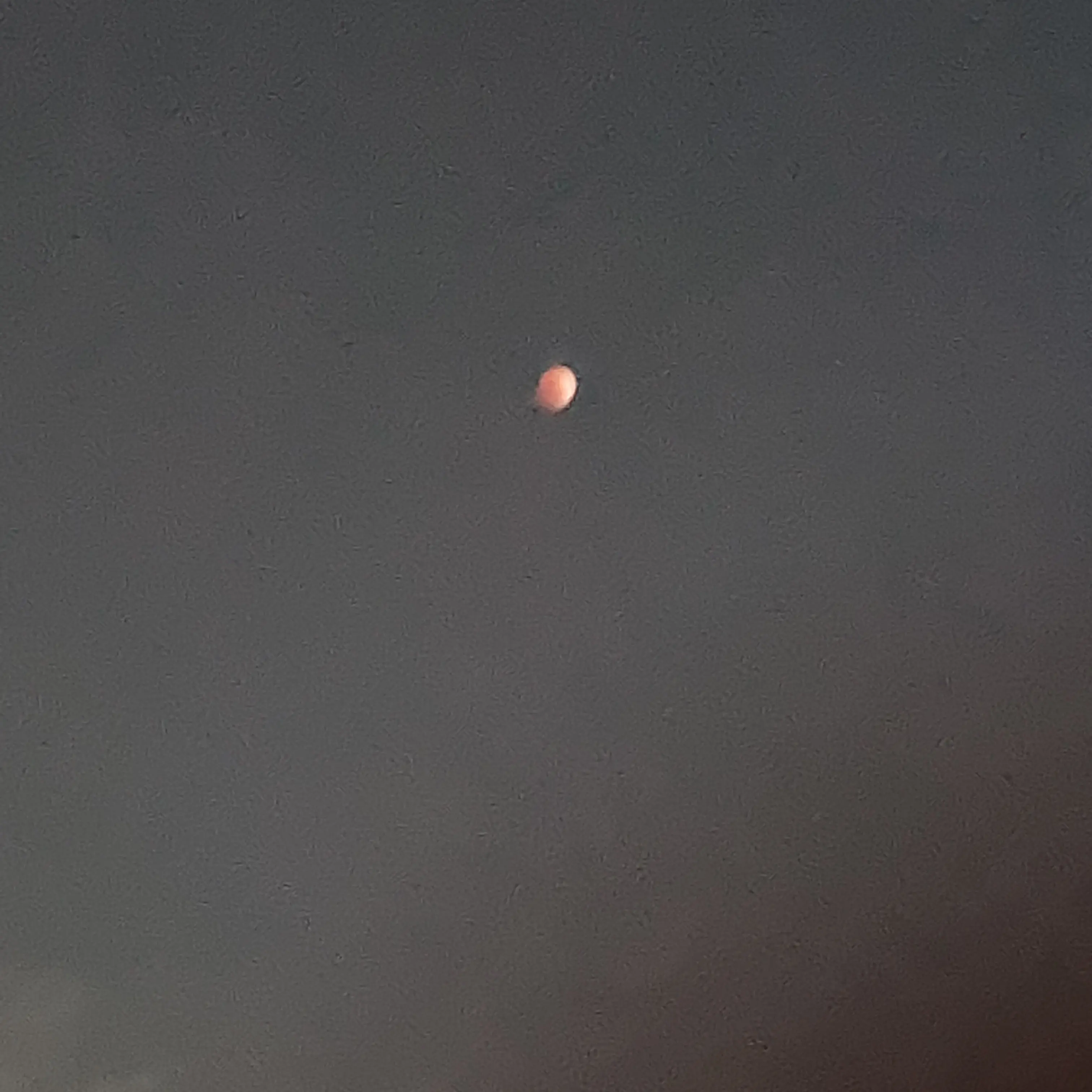 SwiftEmber9076의 재벌2세