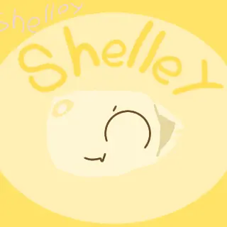 Profile image of 쉘리