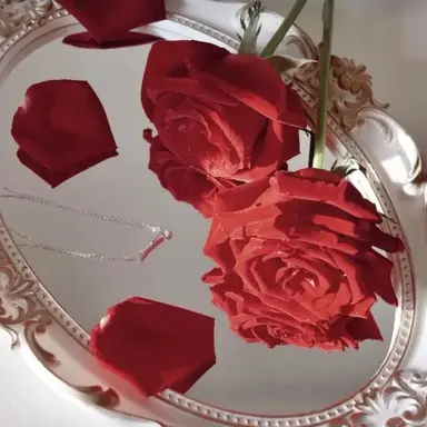 Profile image of 라더