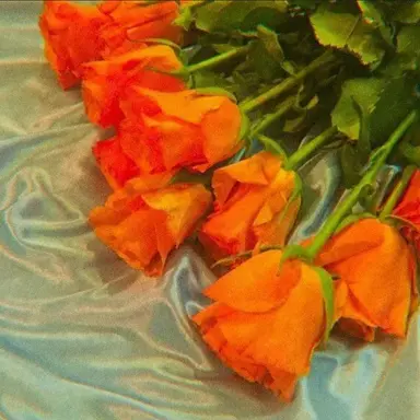 Profile image of 덕개