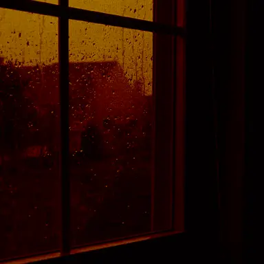 Profile image of 덕개