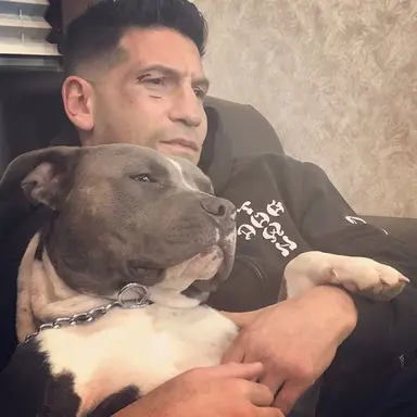 Profile image of Frank Castle