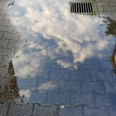 Profile image of 강은석