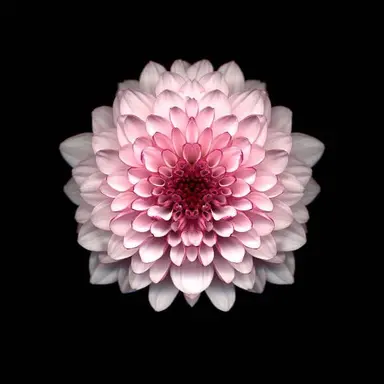 Profile image of 윤세아