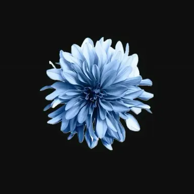Profile image of 한도윤