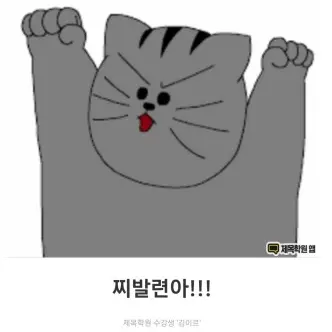 WryBaker3818의 땅땅이
