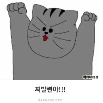 땅땅이