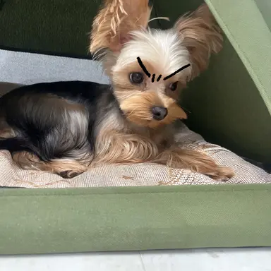 Profile image of 일진