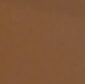 Profile image of ジョルノ