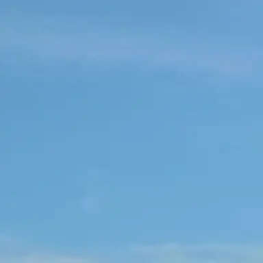 Profile image of 徐倫